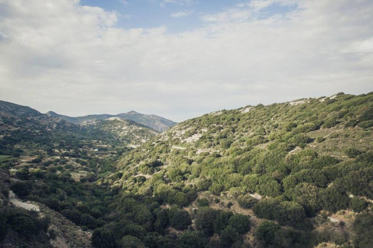 Traditional Inn Pirethron Aperathos ภายนอก รูปภาพ